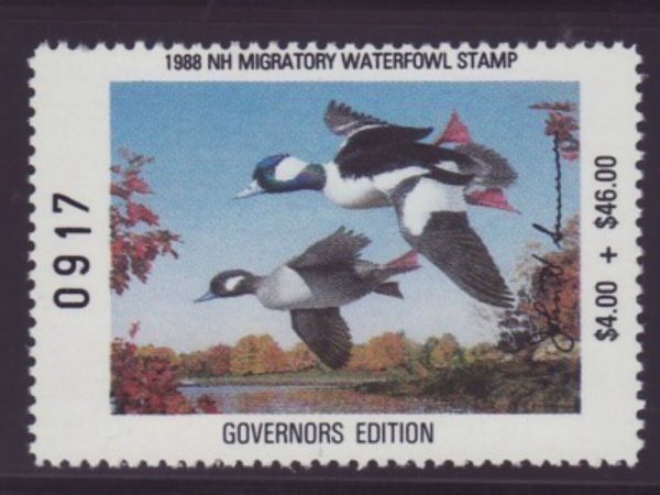 NH-6Gs-New-Hampshire-State-Stamp-GovEd_-NH6Gs50-250915378279